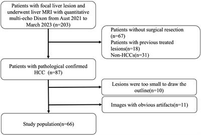 Fat fraction quantification with MRI estimates tumor proliferation of hepatocellular carcinoma